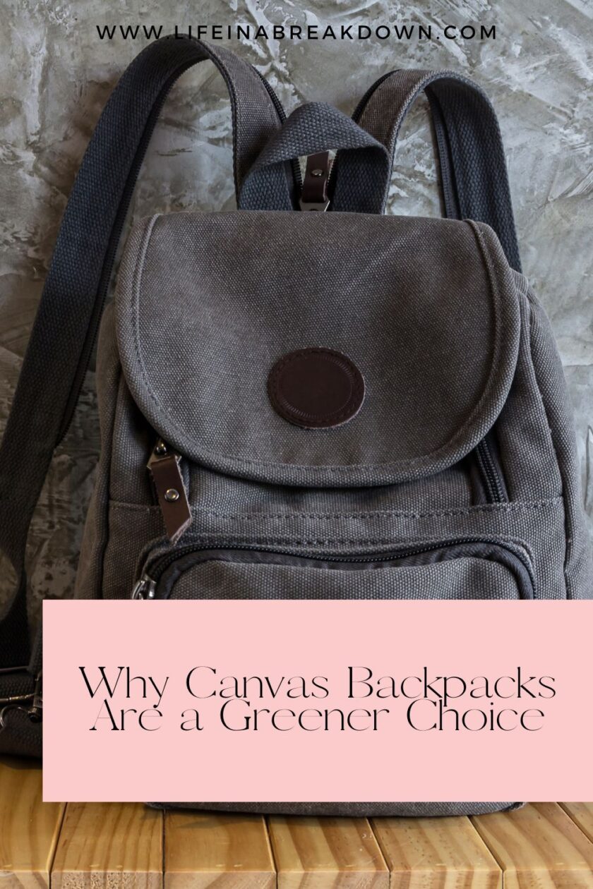 Discover why canvas backpacks make an eco-friendly choice. Learn about their lasting quality, sustainable materials, and easy cleaning tips.