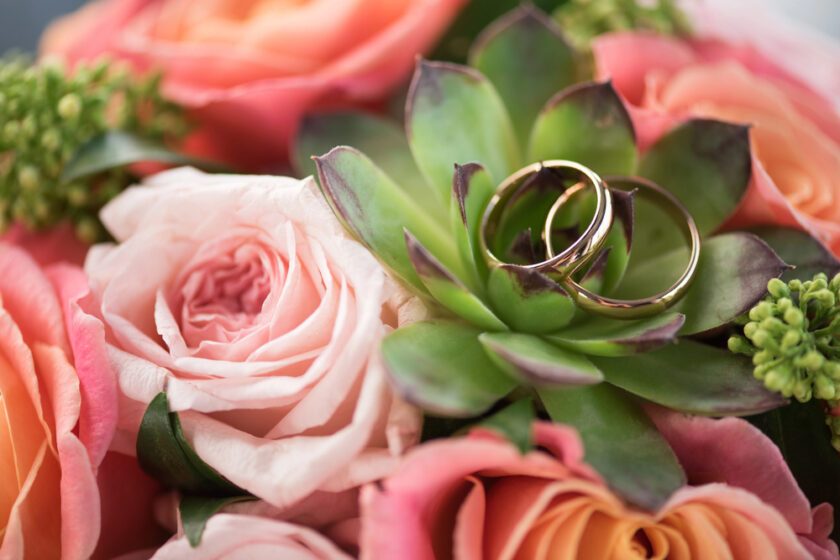 Two gold wedding rings rest atop a green succulent, surrounded by pink and peach roses and small green buds, creating a romantic and elegant floral arrangement.