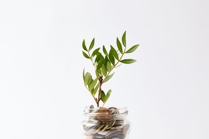 A small plant with green leaves grows from a glass jar filled with assorted coins, set against a plain white background.