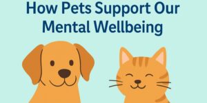 how pets support our mental wellbeing