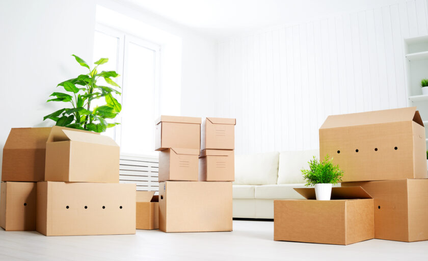 A bright room with a white couch, green plants, and several cardboard moving boxes stacked and scattered across a white floor near a large window.