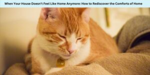 When Your House Doesn’t Feel Like Home Anymore How to Rediscover the Comforts of Home