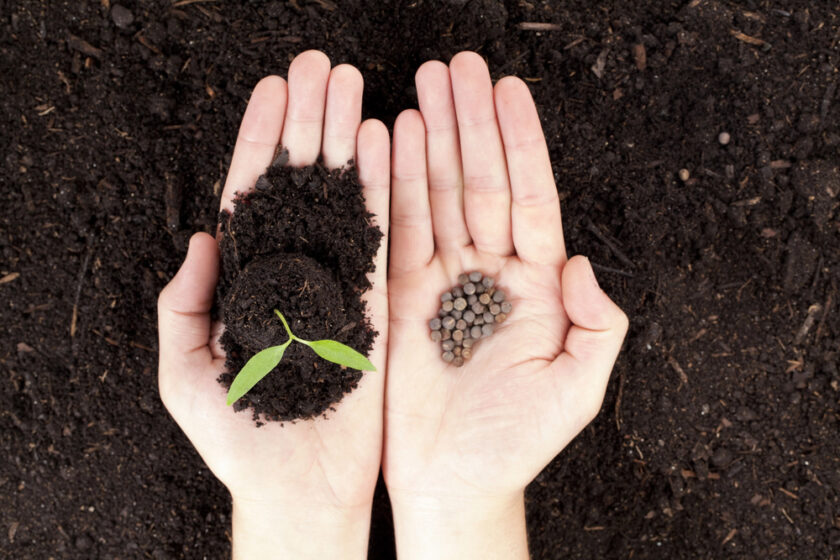 Two hands hold different items: the left hand has soil with a small green seedling, and the right hand has a pile of small round fertilizer pellets, all against a background of rich, dark soil.
