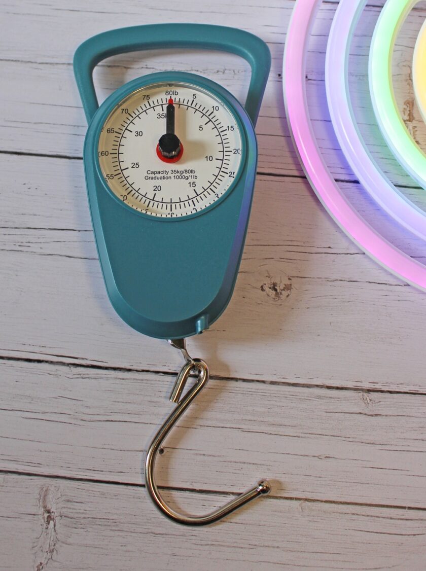 Travel Scales
