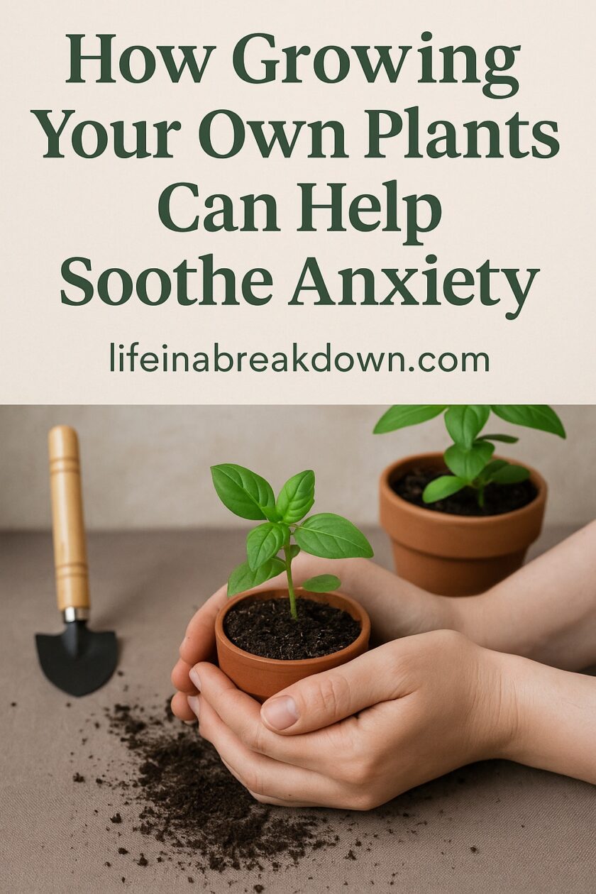 Discover how gardening from seed offers gentle relief for anxiety. Learn why slow growth, simple routines and small wins can calm a racing mind.