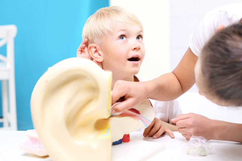 A young boy with blond hair listens intently whilst an adult points to a large model of a human ear on a table, demonstrating how the ear works.