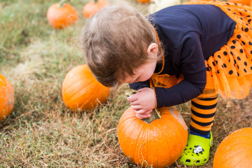 A young child in a black and orange polka-dot skirt, striped leggings, and green shoes bends over to closely examine or sniff the stem of a pumpkin in a pumpkin patch.