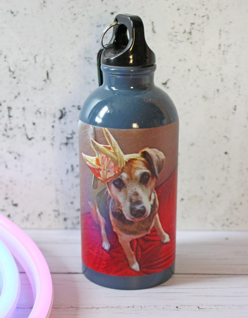 A metal water bottle with a photo of a dog wearing antlers, sitting on a red surface. The bottle is black with a silver top, standing on a white wooden surface with a white, speckled background. Neon lights are partially visible on the left.