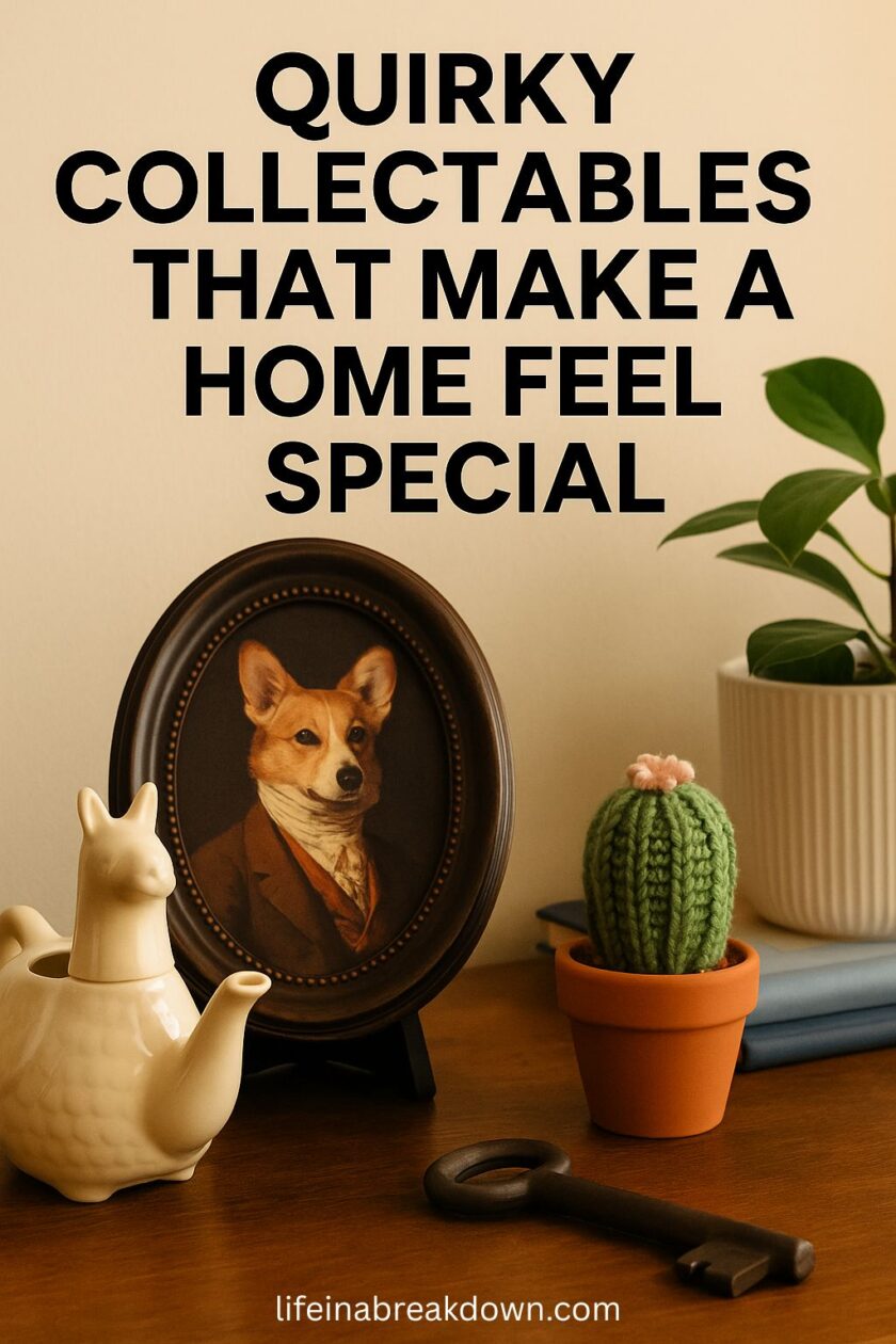 A framed portrait of a dog in a suit, a ceramic llama, a knitted cactus in a pot, a vintage key, stacked books, and a potted plant on a table with bold text reading “Quirky collectables that make a home feel special.”.