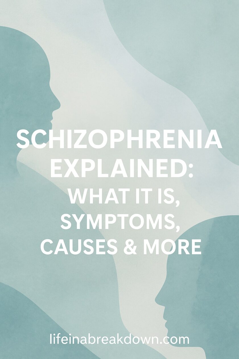 Abstract illustration with overlapping human silhouettes in soft blue tones, featuring bold white text that reads: Schizophrenia Explained: What It Is, Symptoms, Causes & More. Website lifeinabreakdown.com is shown below.