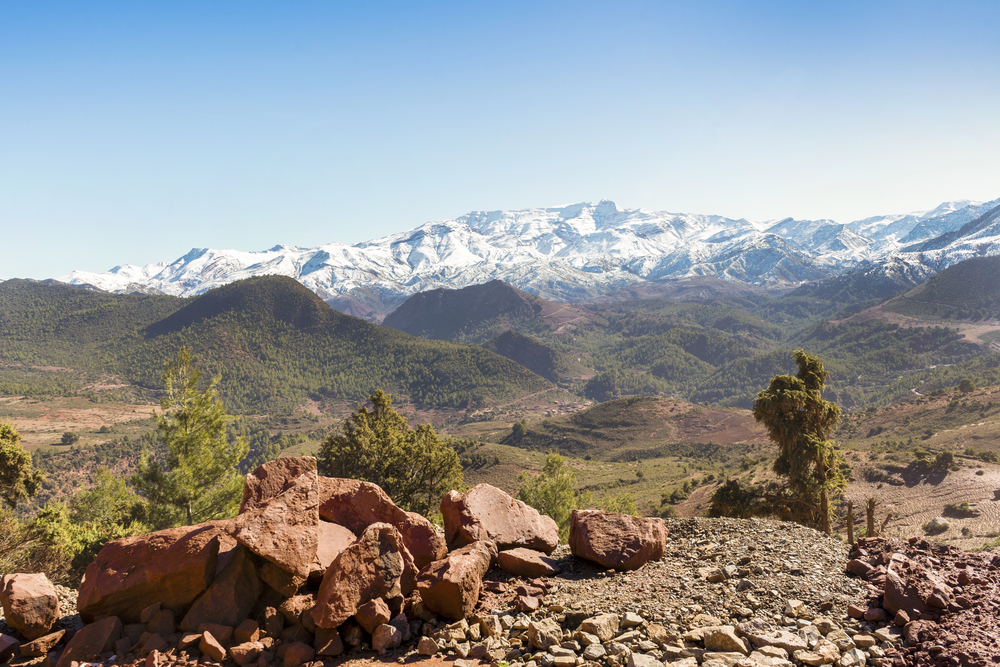 A rocky foreground with scattered red stones overlooks a vast green valley, dotted with trees, leading to snow-capped mountains under a clear blue sky.