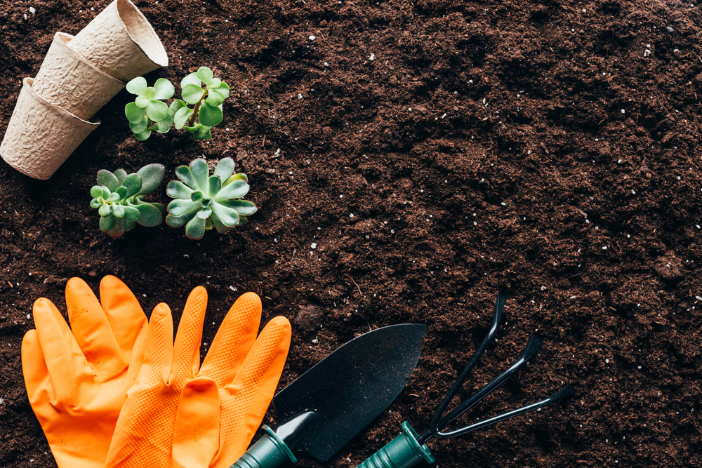 Orange gardening gloves, a small trowel, a hand rake, two succulent plants, and three biodegradable pots are arranged on rich, dark soil, suggesting gardening or planting activities.