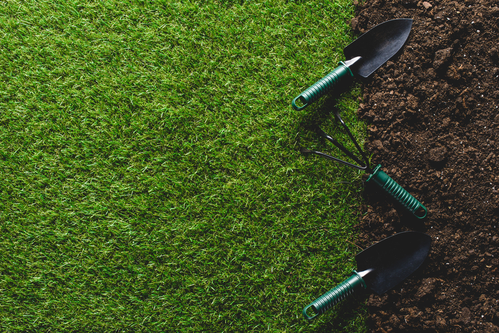 Three gardening tools with green handles are placed on the border between a patch of green grass (left) and dark soil (right), suggesting preparation for gardening or planting.