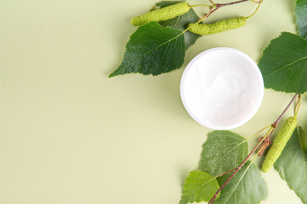 A white open jar of cream is placed on a light green surface, surrounded by green leaves and catkins, suggesting a natural or botanical skincare product.