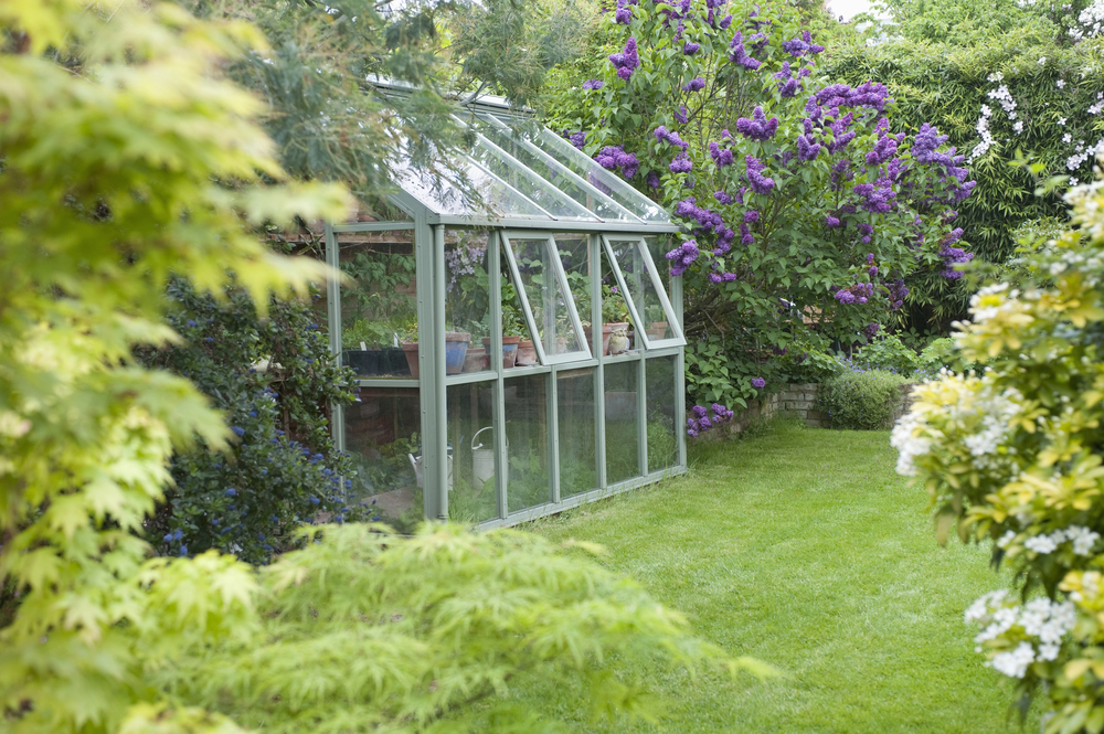 A glass glasshouse sits in a lush garden surrounded by green grass, flowering shrubs, and tall purple blooms, with trees and foliage creating a peaceful, vibrant scene.