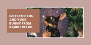 A round ornament featuring a black bunny is hanging on a Christmas tree. Next to it is a brown box with white text that reads, Gifts for you and your bunny from Rabbit Retail.