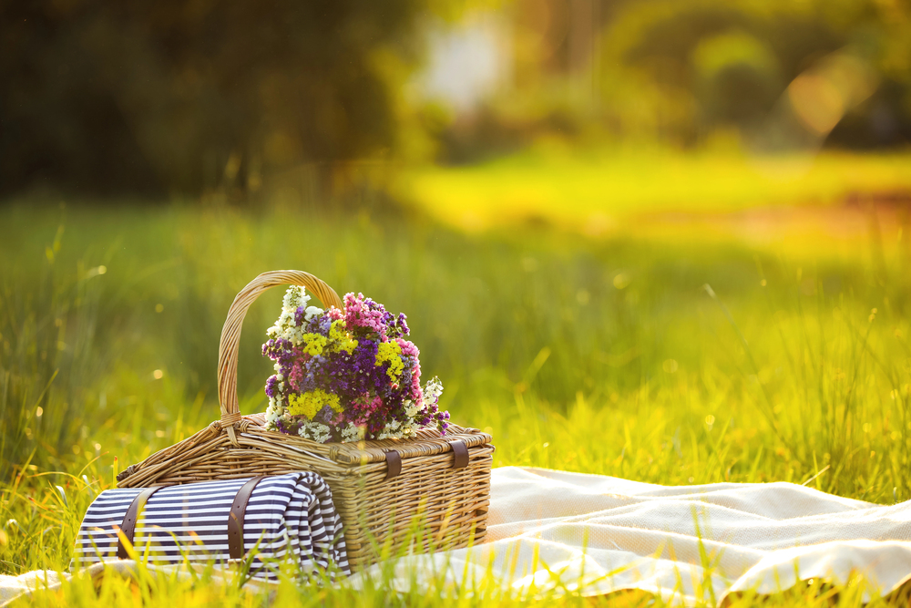 A picnic hamper filled with colourful wildflowers and a rolled-up striped blanket sits on a white cloth in a grassy field, with sunlight streaming through the trees in the background.