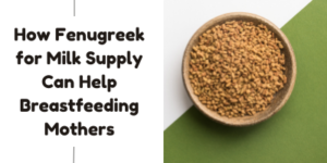 A bowl of fenugreek seeds on a white and green background, next to text that reads, How Fenugreek for Milk Supply Can Help Breastfeeding Mums.