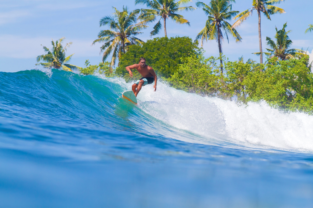 A man surfs on a blue wave near the shore, with lush green palm trees and clear skies in the background.