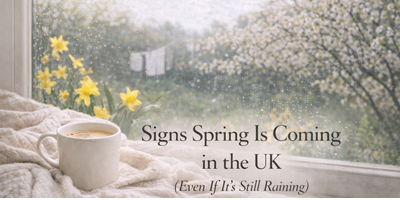 Signs Spring Is Coming in the UK (Even If It’s Still Raining) - Life in ...