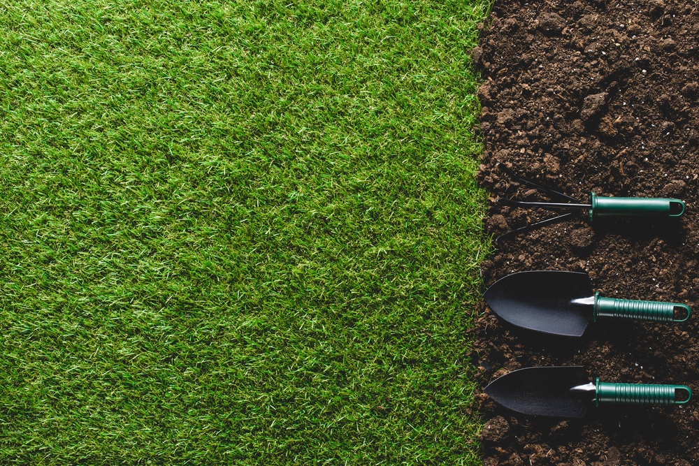 A top view of green grass on the left and bare soil on the right, with three gardening tools—a hand rake, trowel, and spade—lying on the soil, their handles facing outwards.