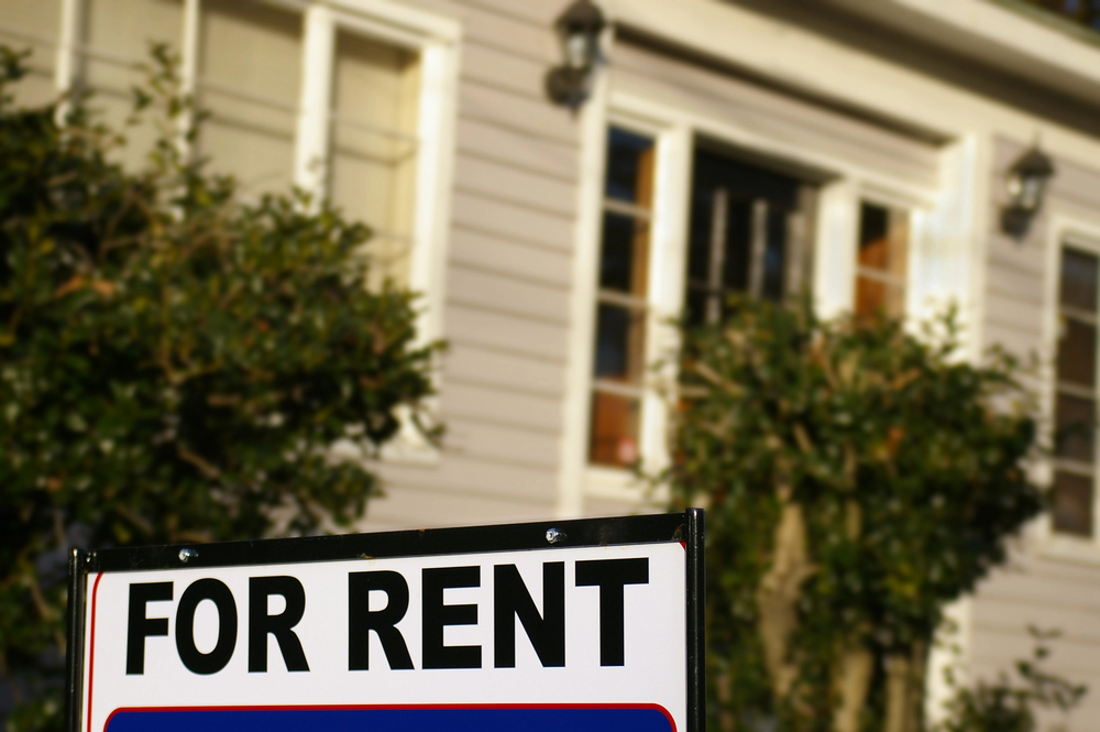 A close-up of a To Let sign in front of a house with light-coloured cladding, large windows, and greenery in the background.