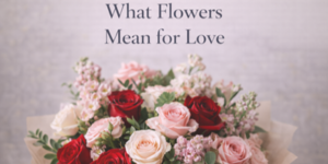 A bouquet of red, pink, and cream roses with small pink flowers and greenery sits in front of a light background. Text above reads, “What Flowers Mean for Love.”.