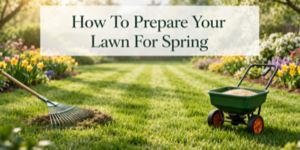 A green lawn with a rake and fertiliser spreader in use, surrounded by blooming flowers. A banner reads, “How To Prepare Your Lawn For Spring.”.