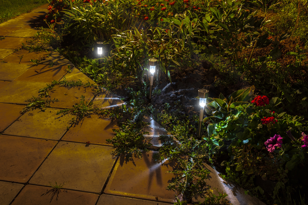 Solar garden lights illuminate a flower bed at night, casting star-shaped patterns on the ground and nearby plants next to a paved path.