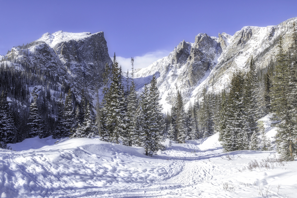 Snow-covered pine trees line a trail leading towards towering, rugged mountain peaks under a bright blue sky in a serene winter landscape.