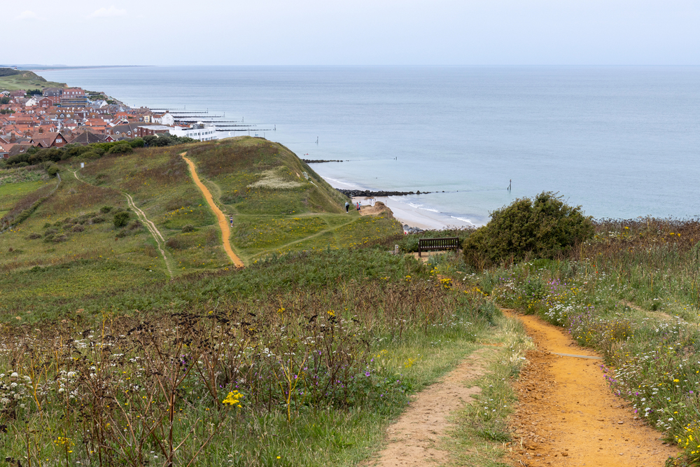 A coastal footpath winds through grassy hills and wildflowers, leading towards a seaside village with red-roofed houses beside a calm sea under a cloudy sky.