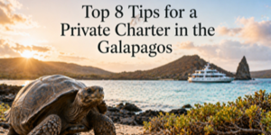 A large tortoise on a rocky shore in the Galapagos Islands, with a yacht anchored in the water and a sunset sky. Text over the image reads, Top 8 Tips for a Private Charter in the Galapagos.