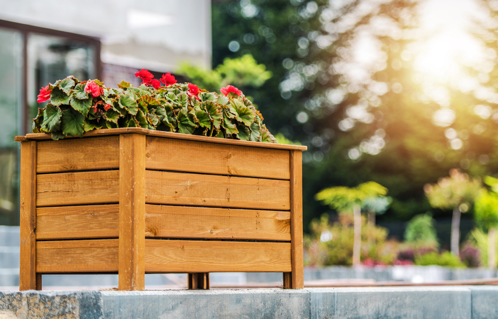 A wooden planter box filled with green leafy plants and red flowers sits outdoors on a stone ledge, with sunlight shining in the background and blurred trees visible.