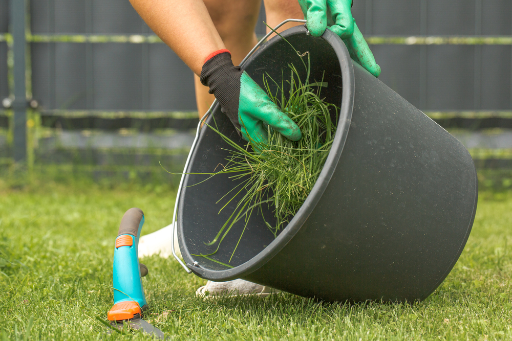 A person wearing green gloves collects freshly cut grass into a black bucket while kneeling on a lawn. A gardening tool lies on the grass nearby.