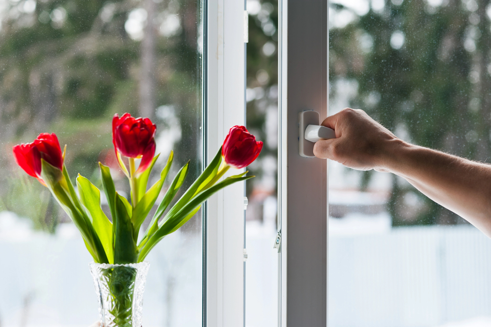 A hand opens a window next to a clear vase holding three red tulips. Trees and a snowy outdoor scene are visible through the glass.