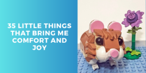A LEGO hamster with a purple flower beside it on a blue baseplate, next to text that says, 35 little things that bring me comfort and joy.