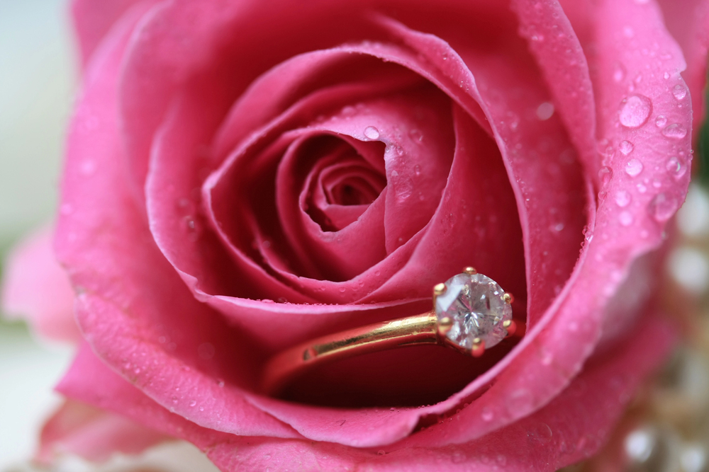 A gold diamond ring rests inside a dew-covered pink rose, with pearl beads visible in the background.