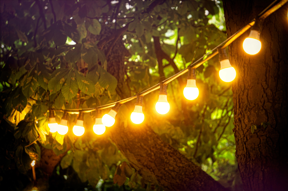 A string of glowing yellow lights is hung between tree trunks and leafy green branches, creating a warm, inviting atmosphere in an outdoor setting.