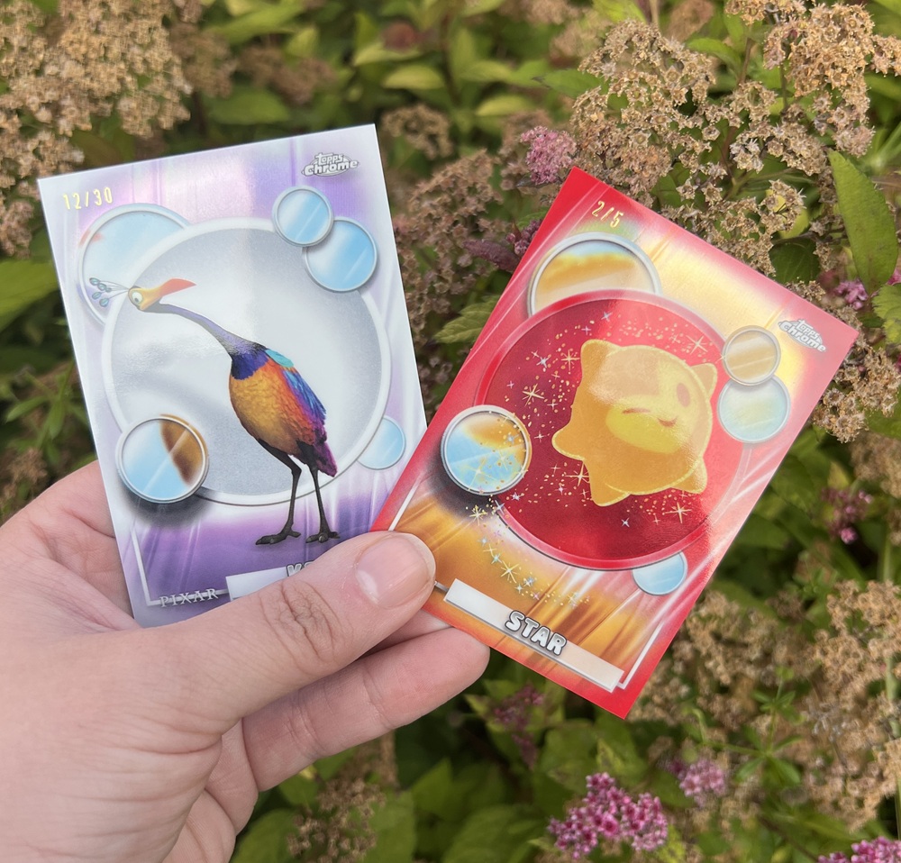 A hand holds two colourful trading cards with cartoonish animals, one featuring a bird and the other a star-shaped creature, against a background of green plants and brown flowers.