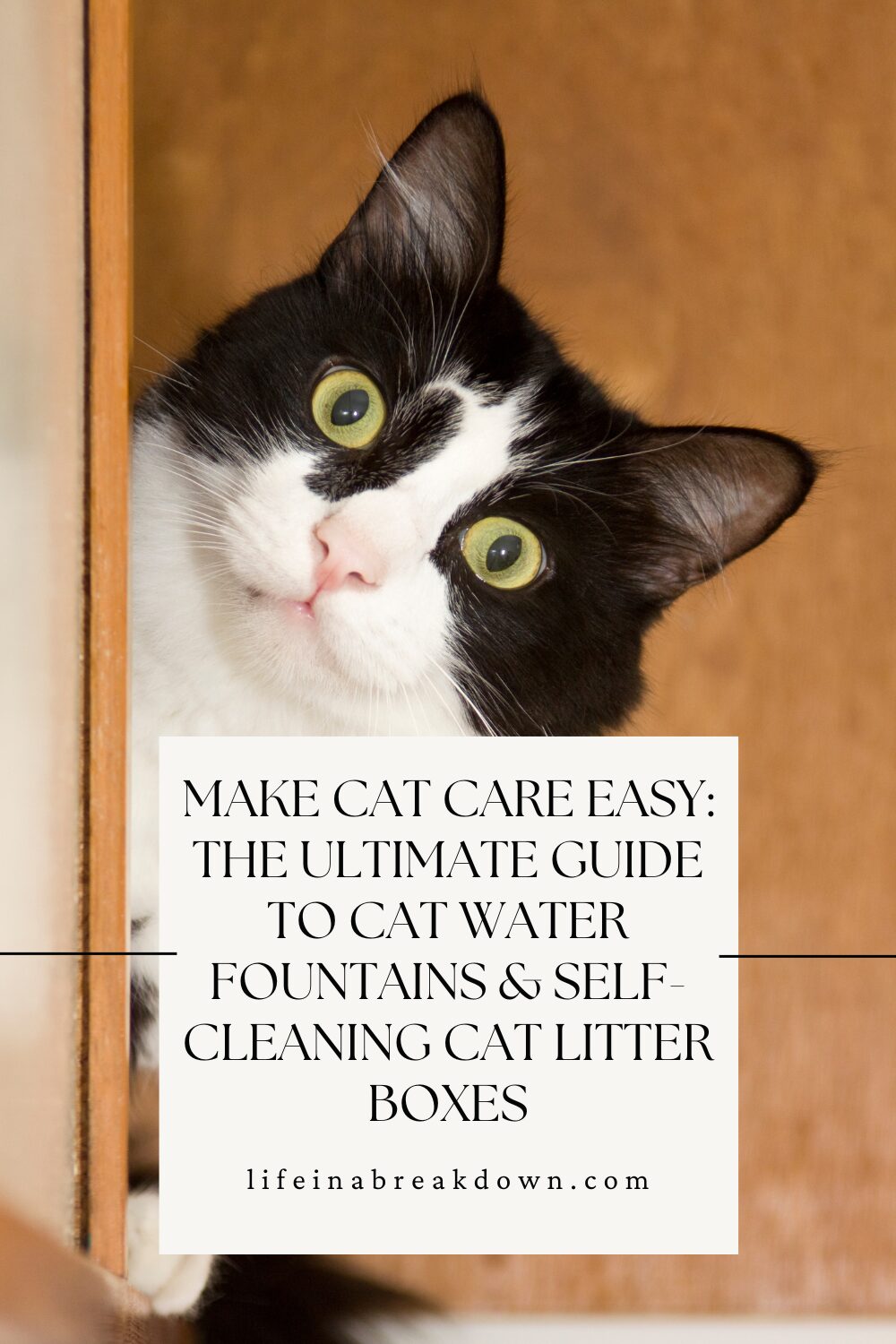 A black and white cat with green eyes peeps curiously round a corner. Overlaid text promotes a guide for cat water fountains and self-cleaning litter trays from lifeinabreakdown.com.