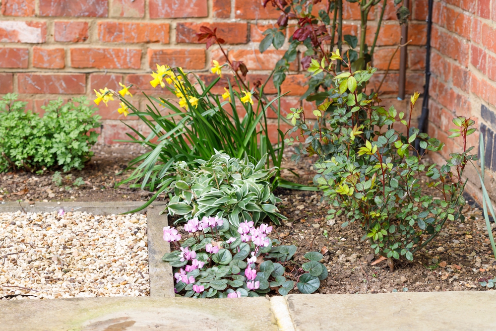 A small garden bed with pink and yellow flowers, green leafy plants, and a rose bush, bordered by gravel and a brick wall in the background.