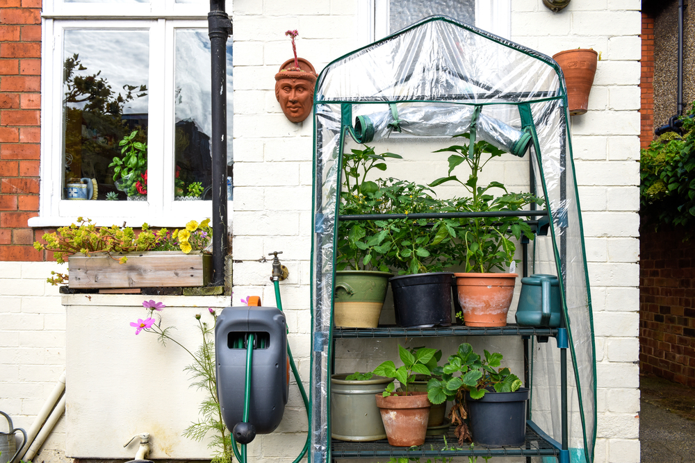 Small greenhouse with potted plants stands by a white brick house. A hose reel, window box, and pink flowers are nearby. A decorative face mask hangs on the wall above the greenhouse.