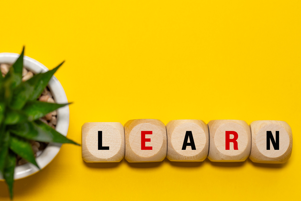 Wooden blocks spelling LEARN sit on a bright yellow background, with a small potted succulent plant on the left side of the image.
