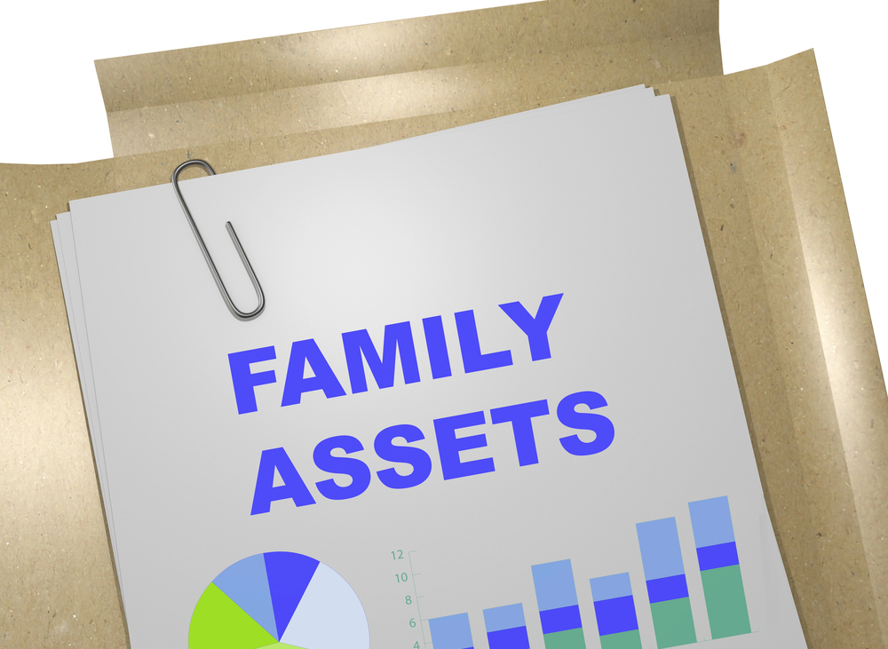 A folder holds a stack of papers titled Family Assets in large blue letters, with colourful pie and bar charts visible on the front page, secured by a paperclip.