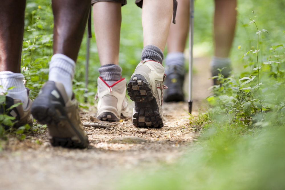 Close-up of four people’s legs and hiking boots walking on a forest trail, surrounded by green plants.