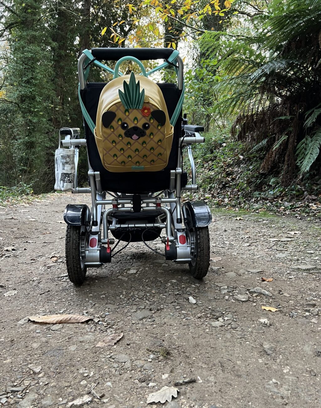 A wheelchair with a pineapple-shaped rucksack attached sits on a dirt path in a wooded area, surrounded by green trees and foliage.