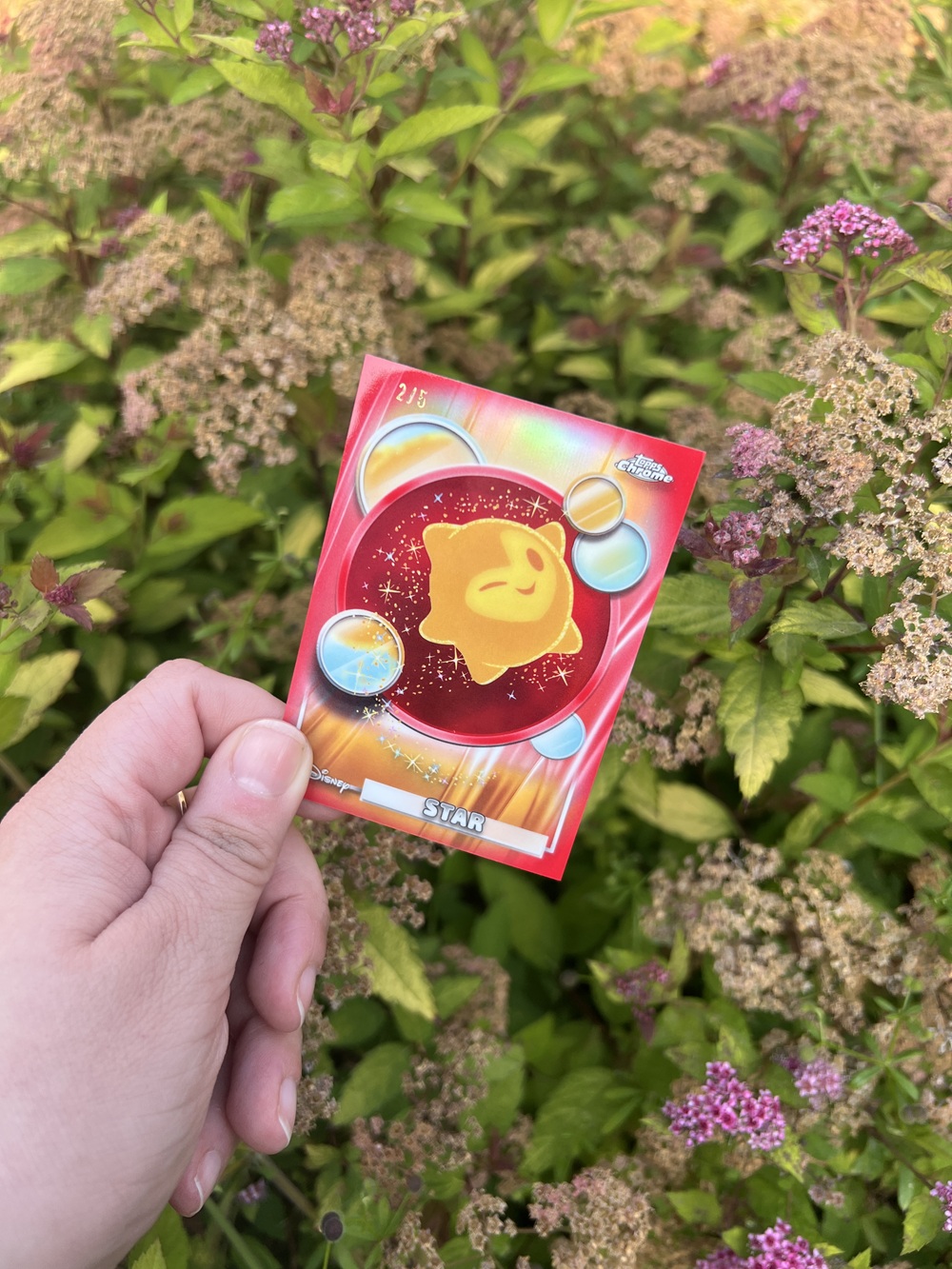 A hand holds a colourful trading card with a yellow star character and orbs on a red background, set against green and pink flowering plants.