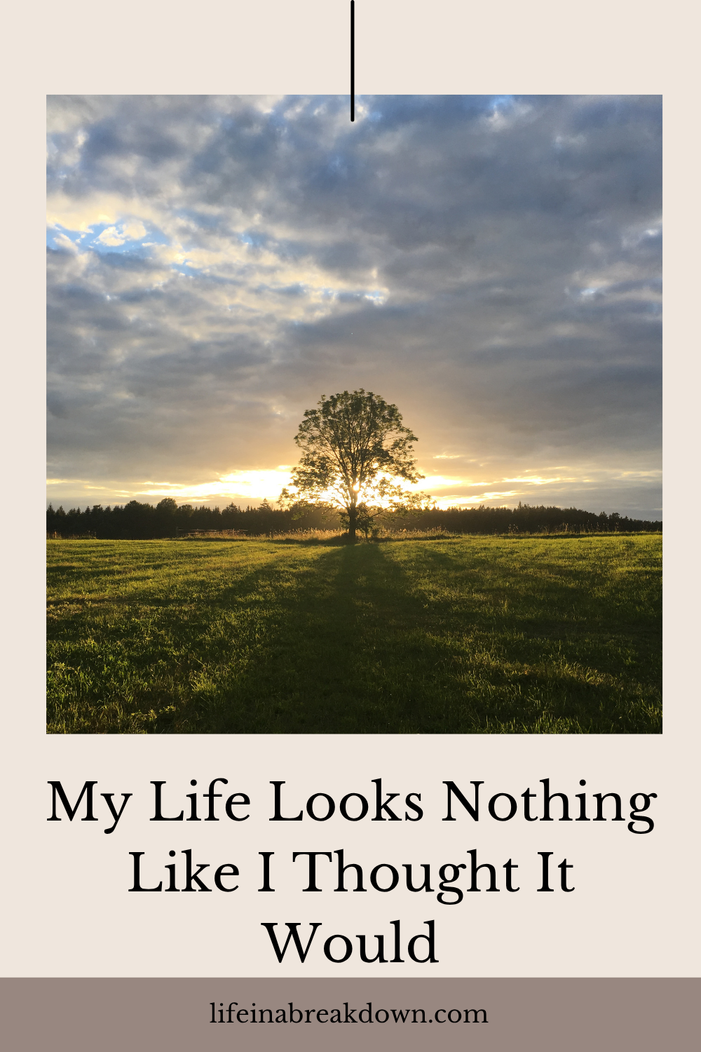 A single tree stands in a sunlit field under a cloudy sky. Text reads: My Life Looks Nothing Like I Thought It Would. Website: lifeinabreakdown.com.