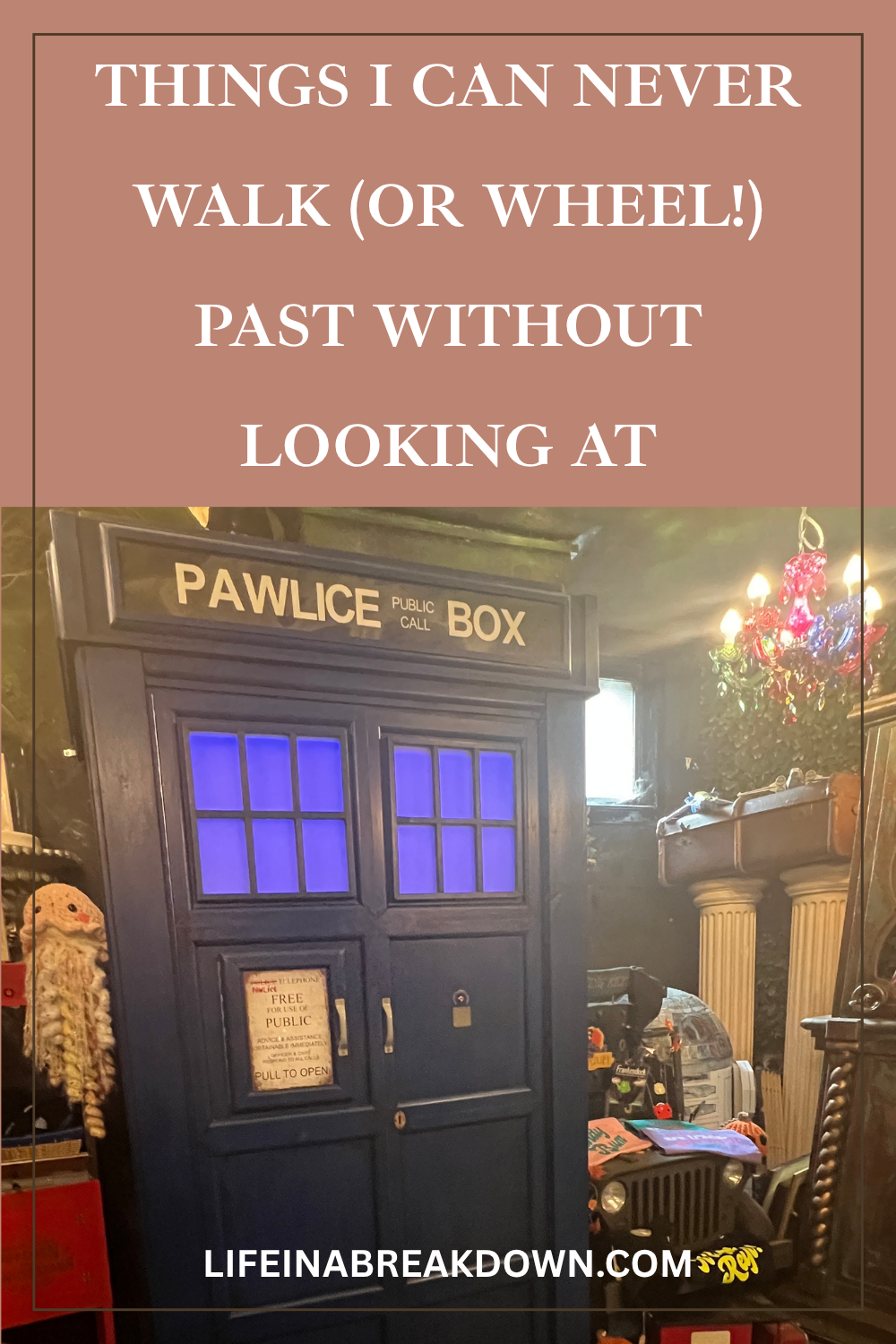 A TARDIS replica inside a room with various decorations, toys, and a fireplace. Text above reads: THINGS I CAN NEVER WALK (OR WHEEL!) PAST WITHOUT LOOKING AT...