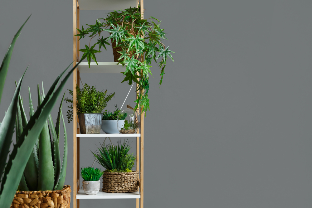 A tall, narrow wooden shelving unit filled with various potted plants, with a large aloe plant in the foreground.